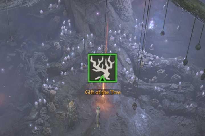 Discovering the Gift of the Tree in Diablo 4: Everything You Need to Know