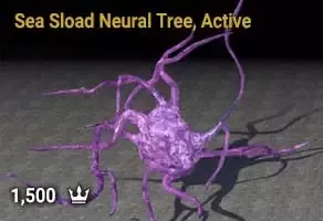 Sea Sload Neural Tree, Active