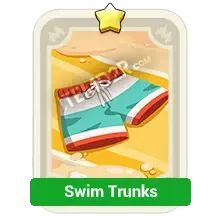 Swim Trunks