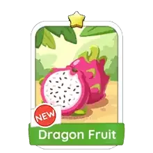 Drachenfrucht