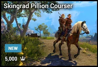 Skingrad Pillion Courser