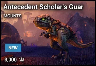 Antecedent Scholar's Guar
