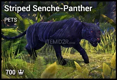 Striped Senche-Panther