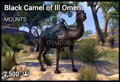 Black Camel of Ill Omen