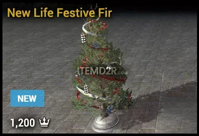 New Life Festive Fir