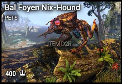 Bal Foyen Nix-Hound