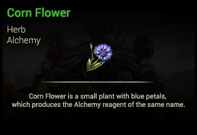 [EU]Corn Flower x500