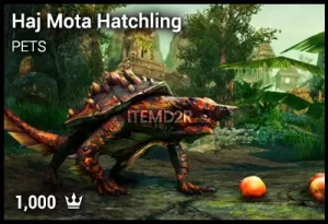 Haj Mota Hatchling