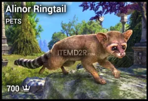 Alinor Ringtail