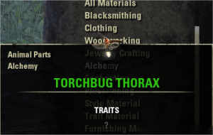 [NA]Torchbug Thorax x200