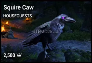 Squire Caw