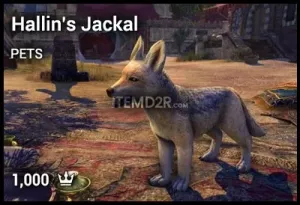 Hallin's Jackal