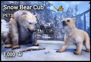 Snow Bear Cub