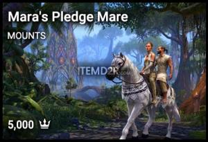 Mara's Pledge Mare