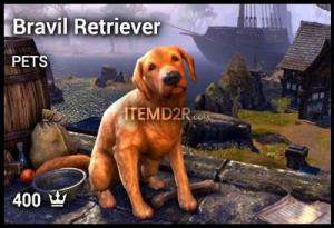 Bravil Retriever