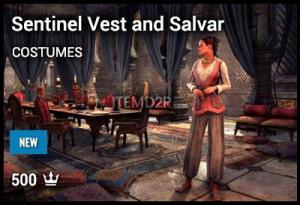 Sentinel Vest and Salvar
