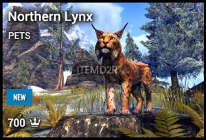 Northern Lynx