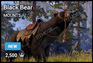 Black Bear