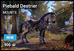 Piebald Destrier