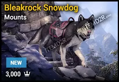 Bleakrock Snowdog