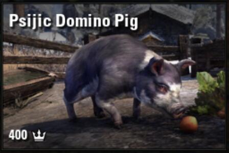 Psijic Domino Pig