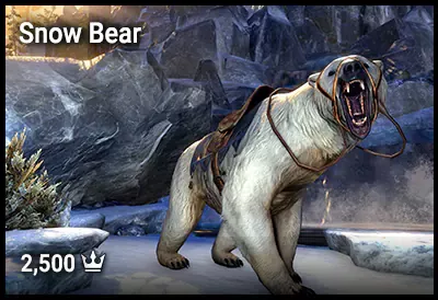 Snow Bear