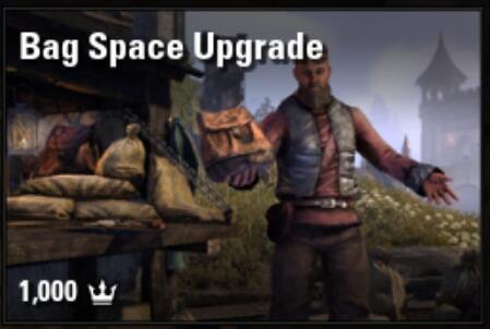 Bag Space Upgrade