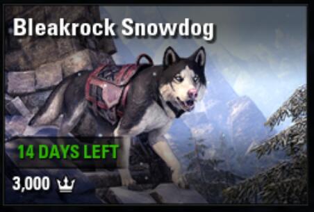 Bleakrock Snowdog