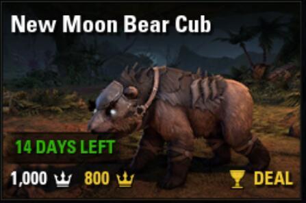 New Moon Bear Cub