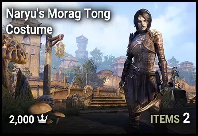Naryu's Morag Tong Costume