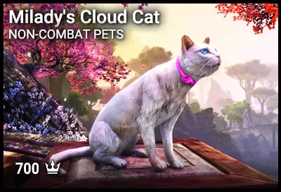 Milady's Cloud Cat