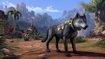 ESO Featured