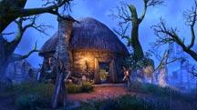 House ESO Items for sale