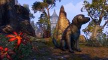 ESO Mounts