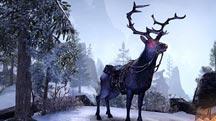 SPECIAL OFFERS ESO Items for sale