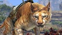 ESO Mounts