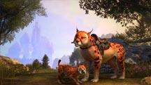 SPECIAL OFFERS ESO Items for sale