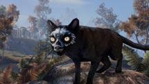ESO Mounts