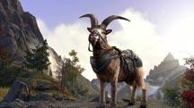 ESO Mounts
