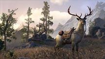 ESO Mounts