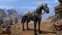 ESO Mounts