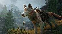 ESO Mounts