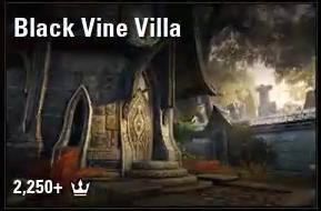 Black Vine Villa - FURNISHED