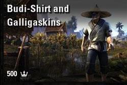 Budi-Shirt and Galligaskins