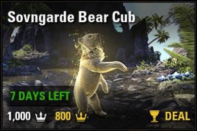 Sovngarde Bear Cub