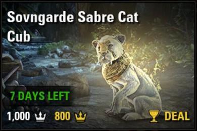 Sovngarde Sabre Cat Cub