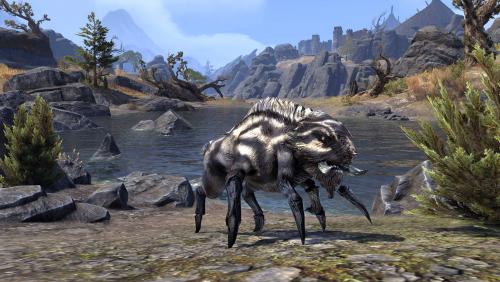 Badger Ruff Echalette