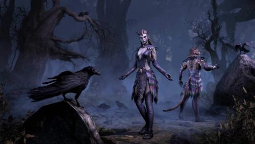 Negligee of the Coven Shrike