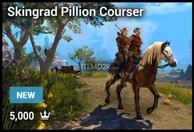 Skingrad Pillion Courser
