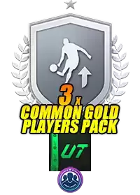 Silver Upgrade
